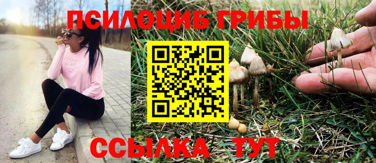 Галлюциногенные грибы Cubensis Серпухов