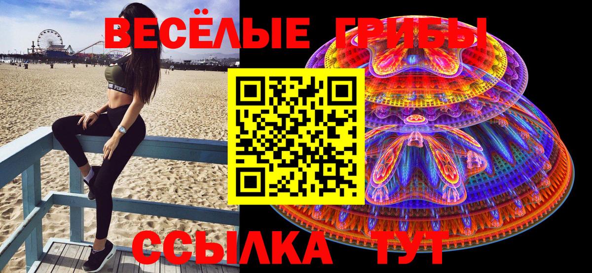 Псилоцибиновые грибы Magic Shrooms  Вход с VPN  Серпухов  Псилоцибиновые грибы GOLDEN TEACHER 